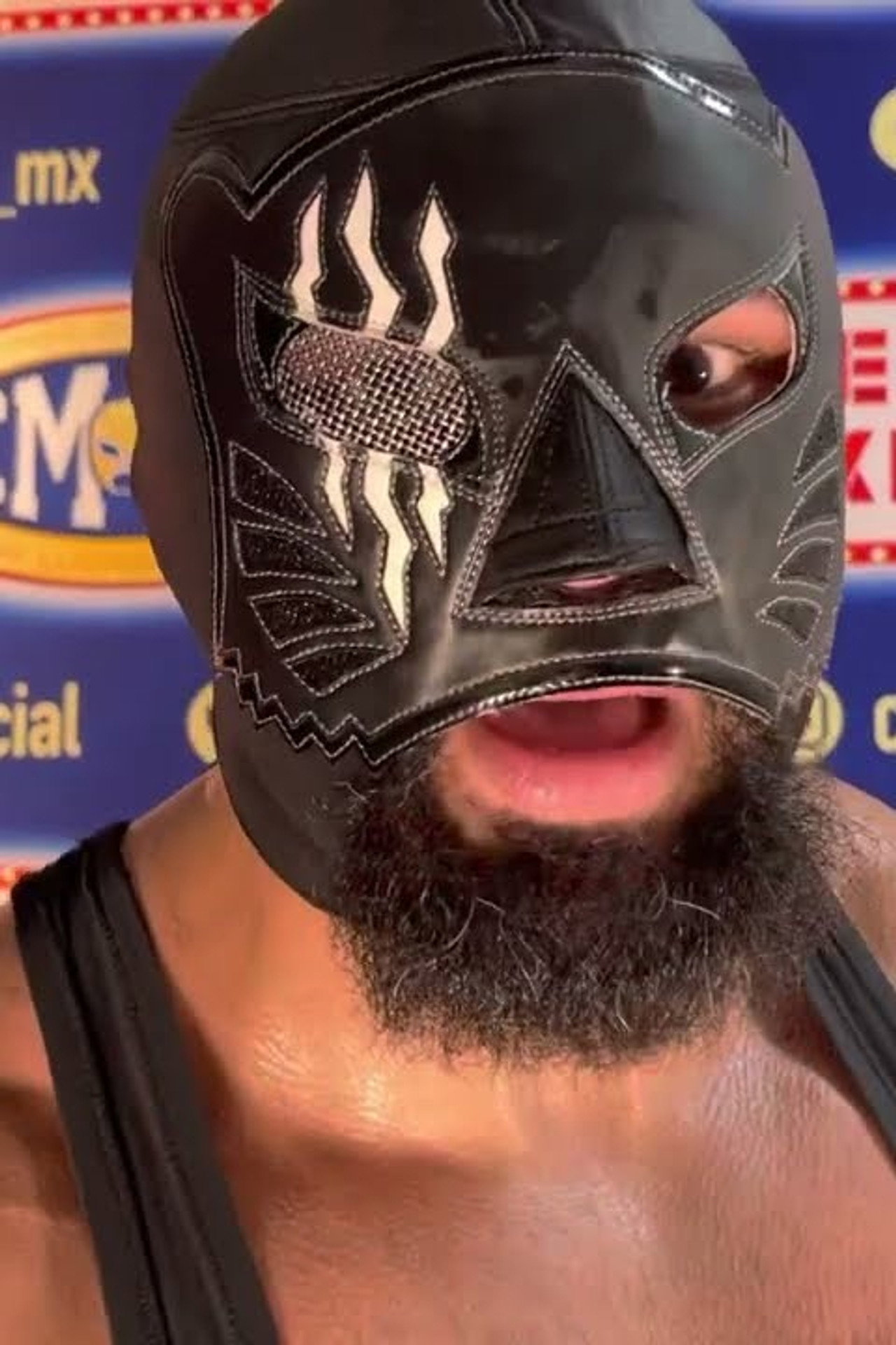 Dark Panther