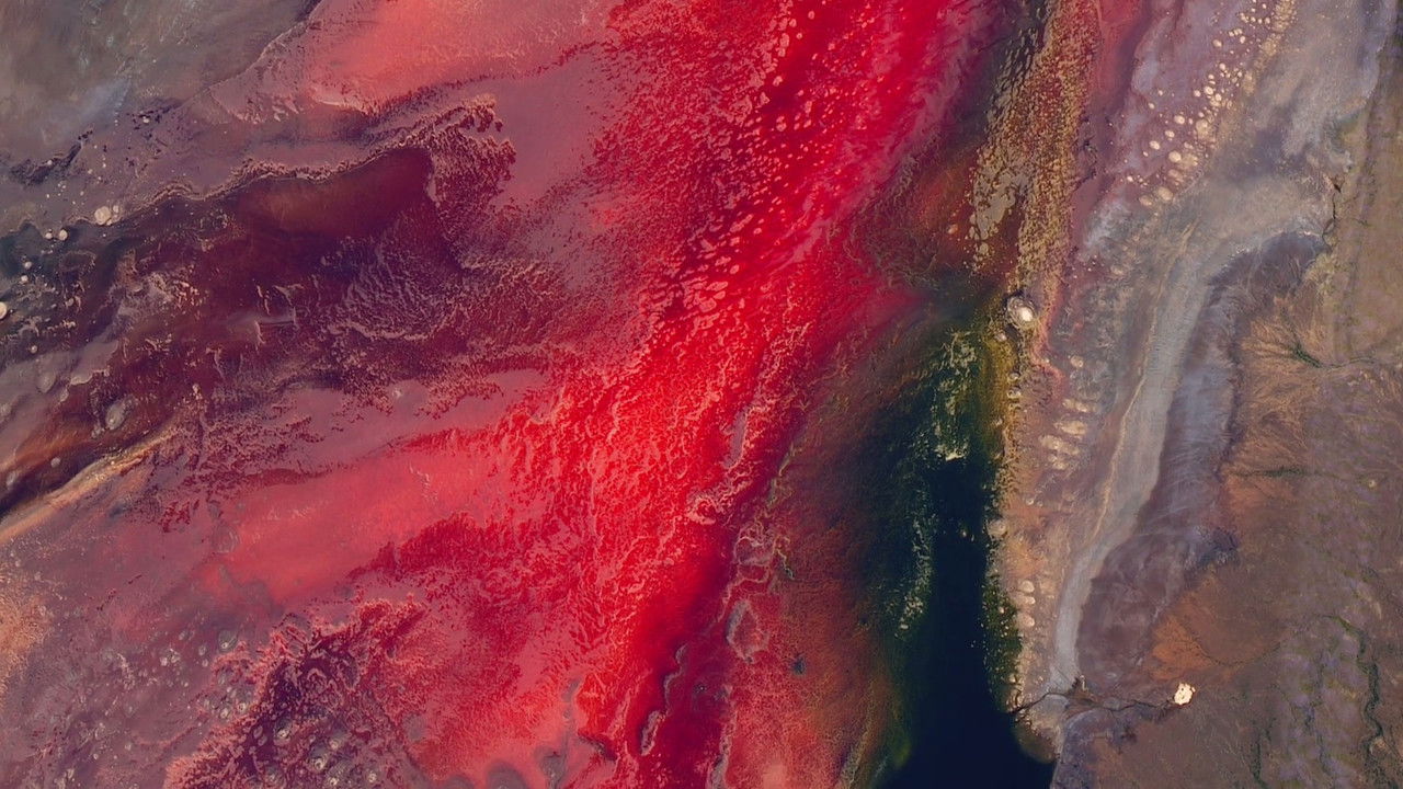 Phénomènes vus de l'espace — Le cercle de pierres africain