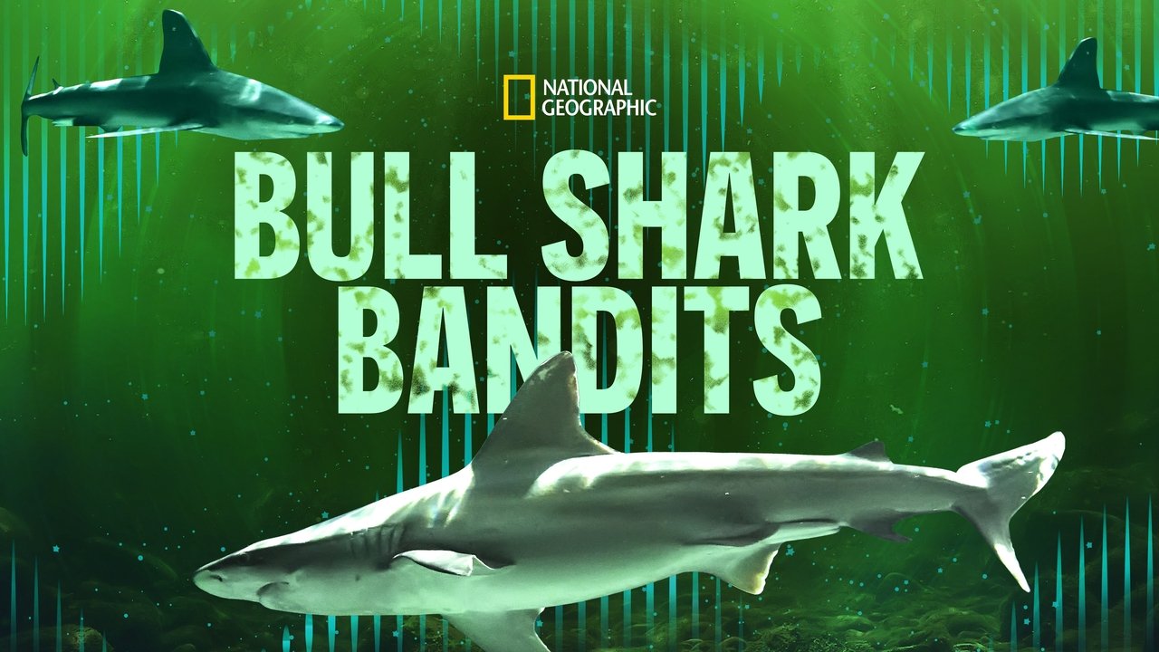 Bull Shark Bandits