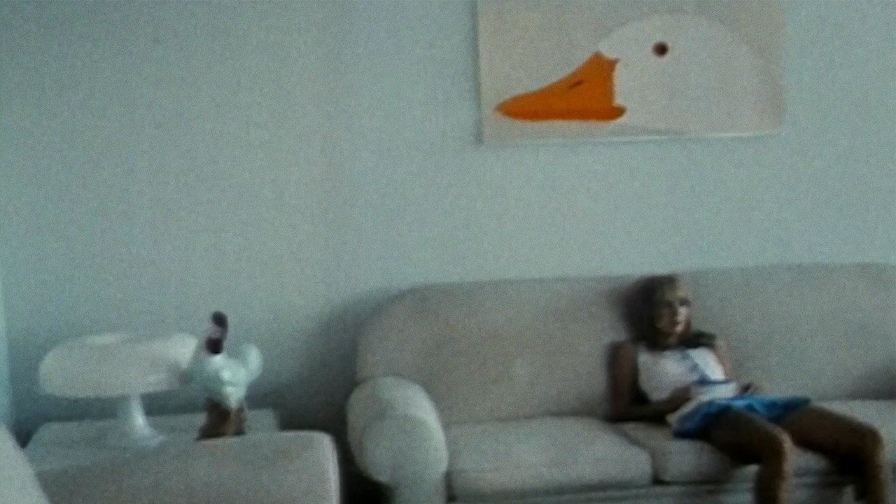 scenes 5