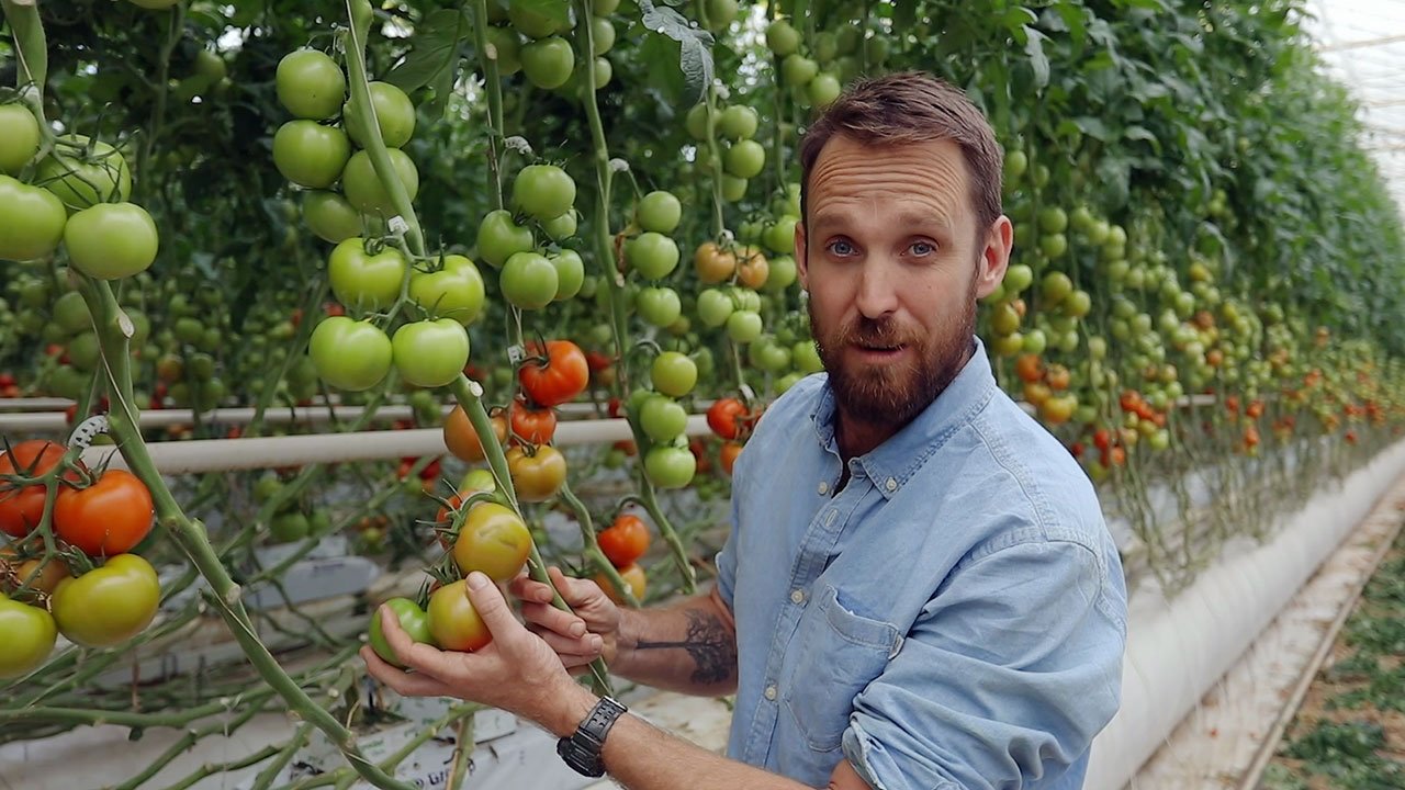 Catalyst - Season 19 Episode 2 : Feeding Australia: Foods of Tomorrow