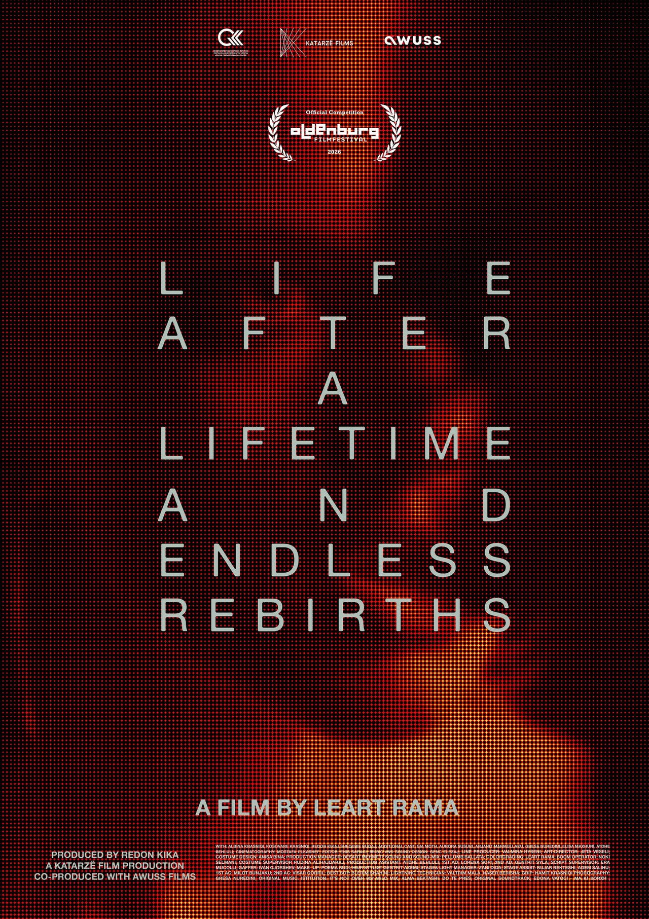 Life After a Lifetime and Endless Rebirths