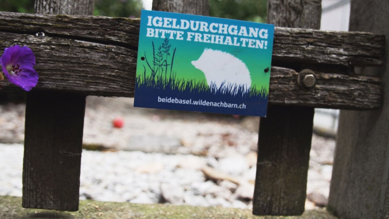 Tatze, Pfote, Schnabel - Season 3 Episode 24 : Episode 24