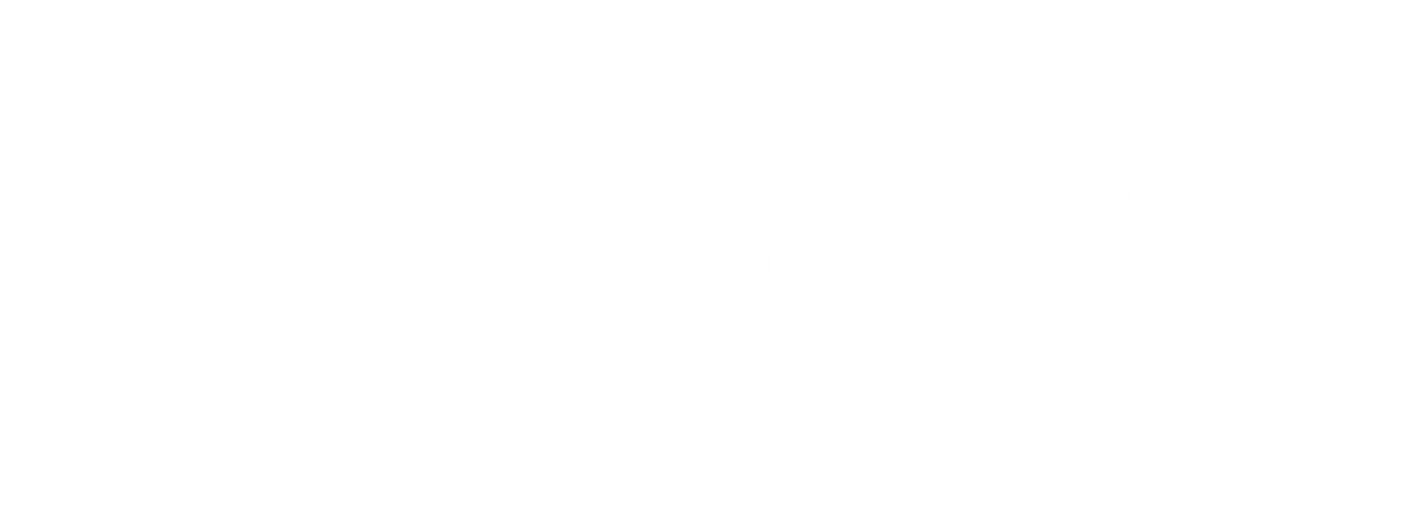 Секретное досье