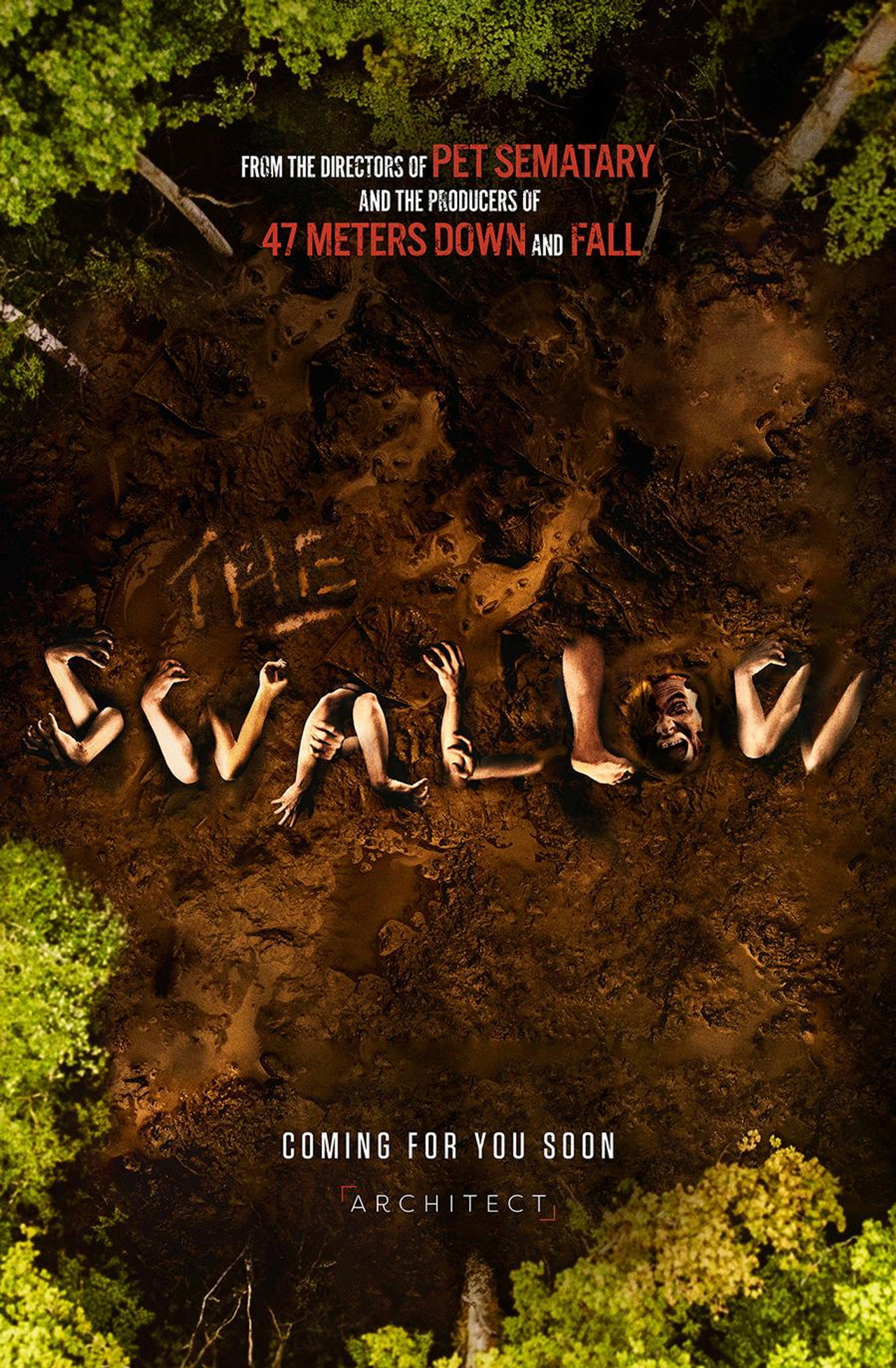 The Swallow