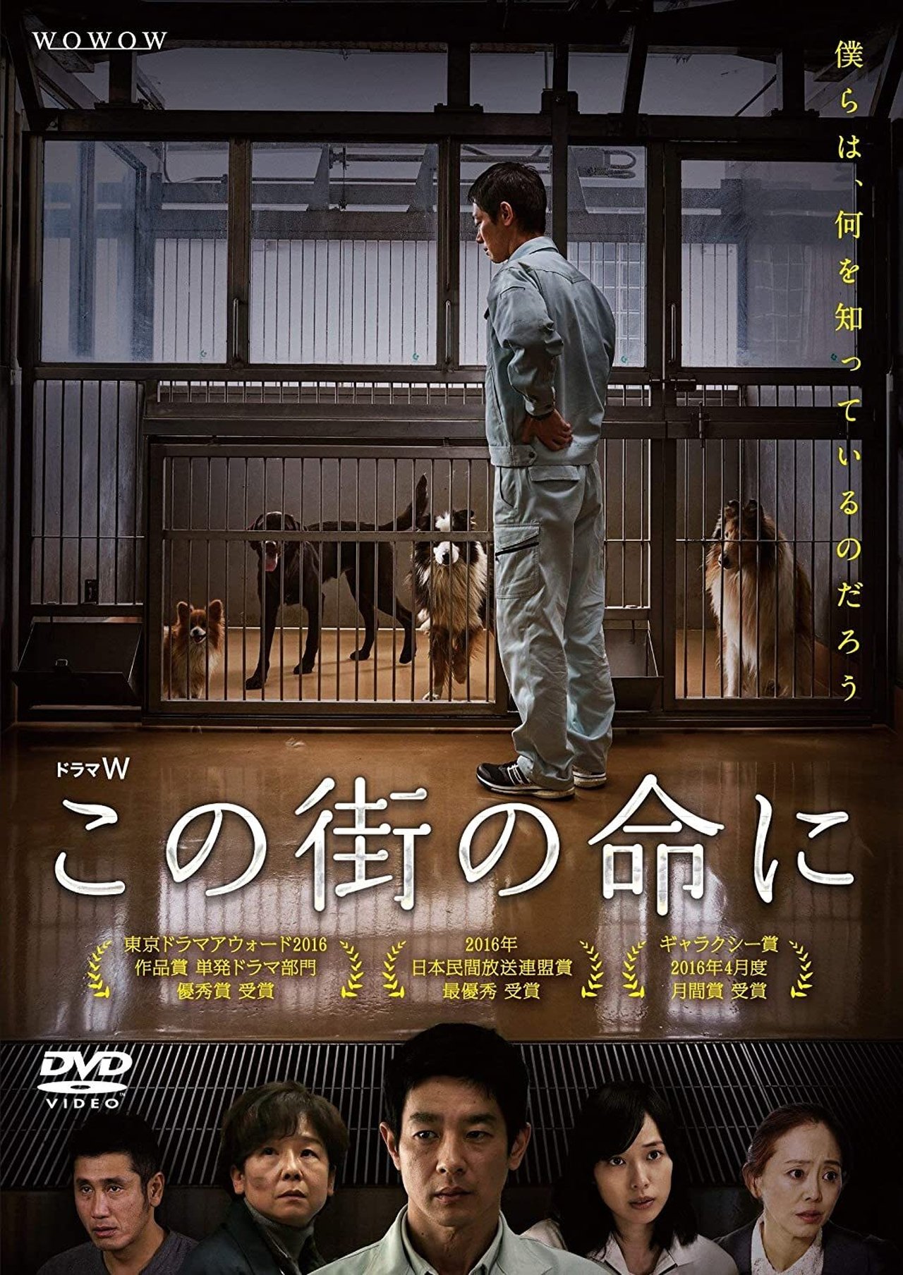 مشاهدة فيلم Through Their Eyes مترجم بدون اعلانات - بوستر