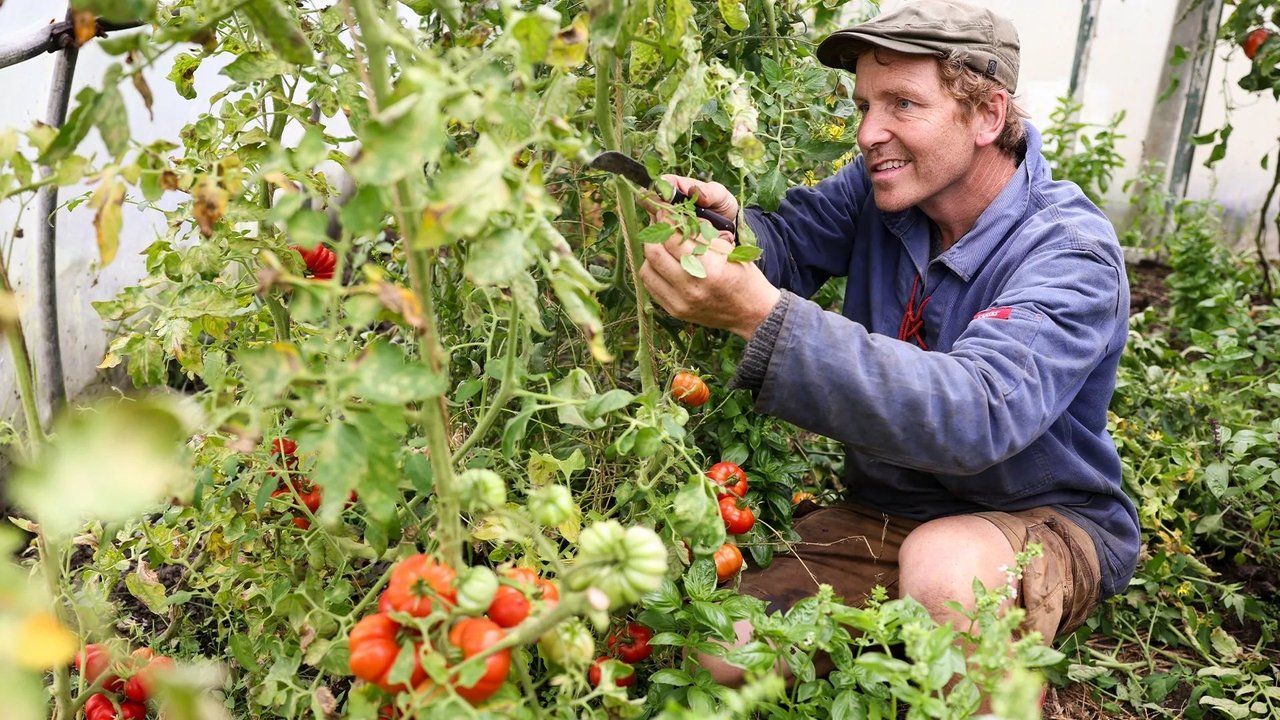 Frank & Kastaniegaarden - Season 30 Episode 14 : Episode 14