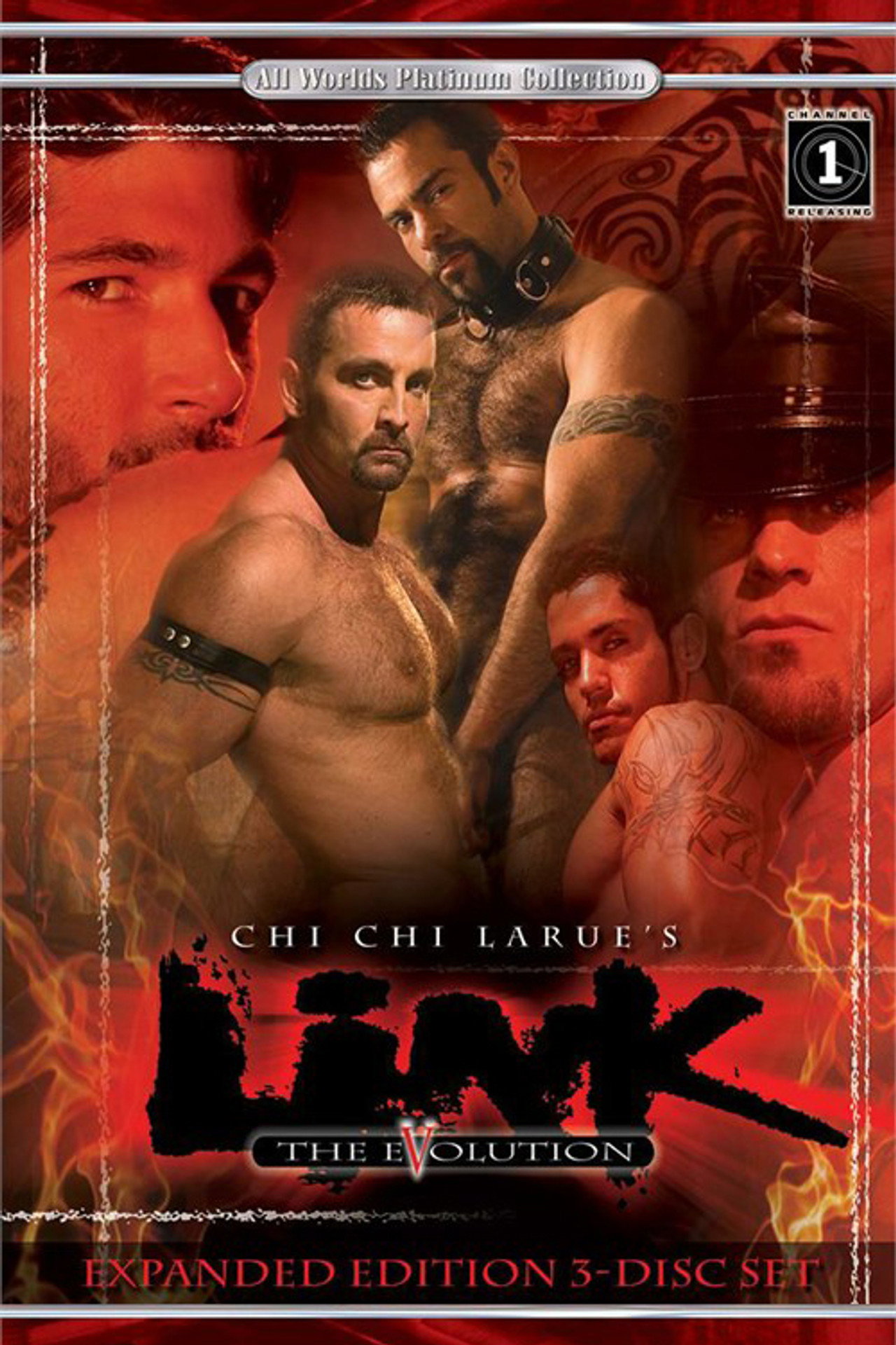 Link 5: The Evolution filmaffisch