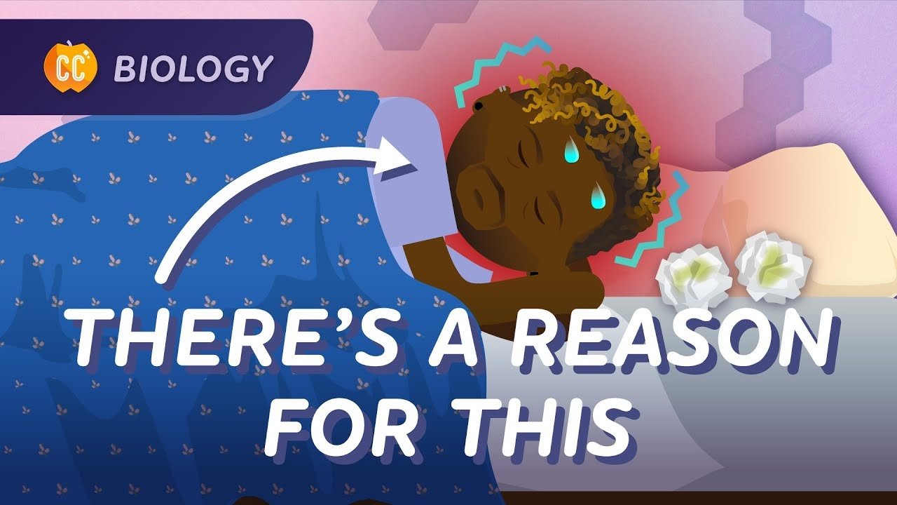 How Skin, Snot, and Cells Keep Us Healthy: Animal Defense Systems