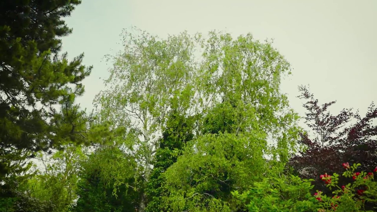 Natur im Garten - Season 26 Episode 9 : Episode 9