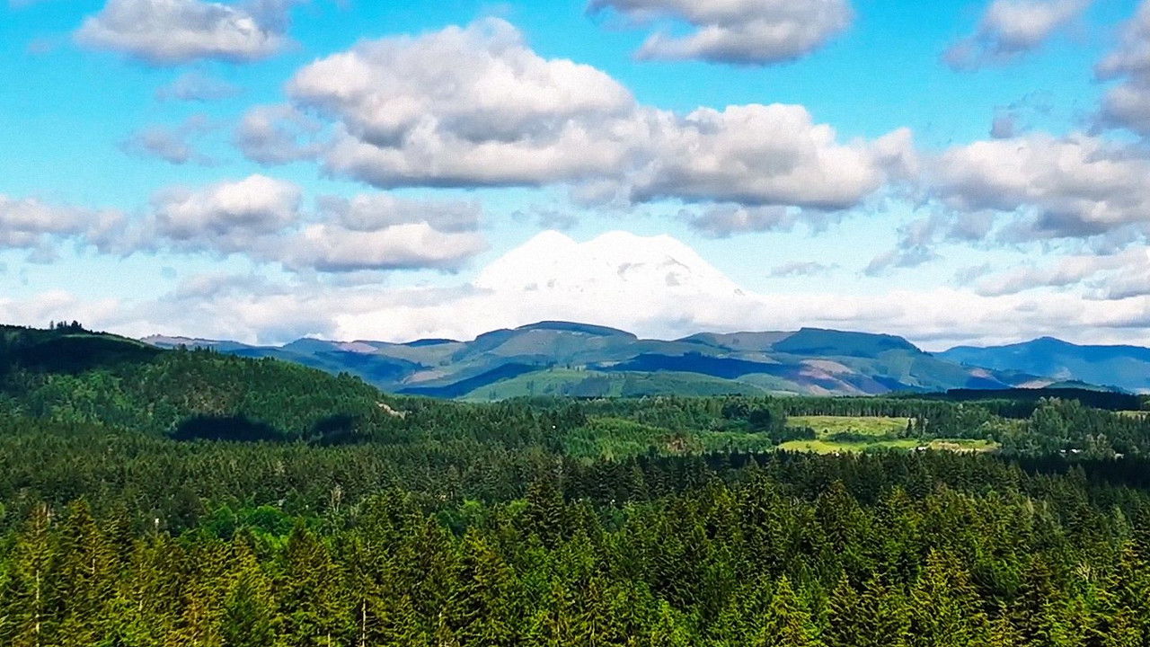 PARK'D — Épisode 4