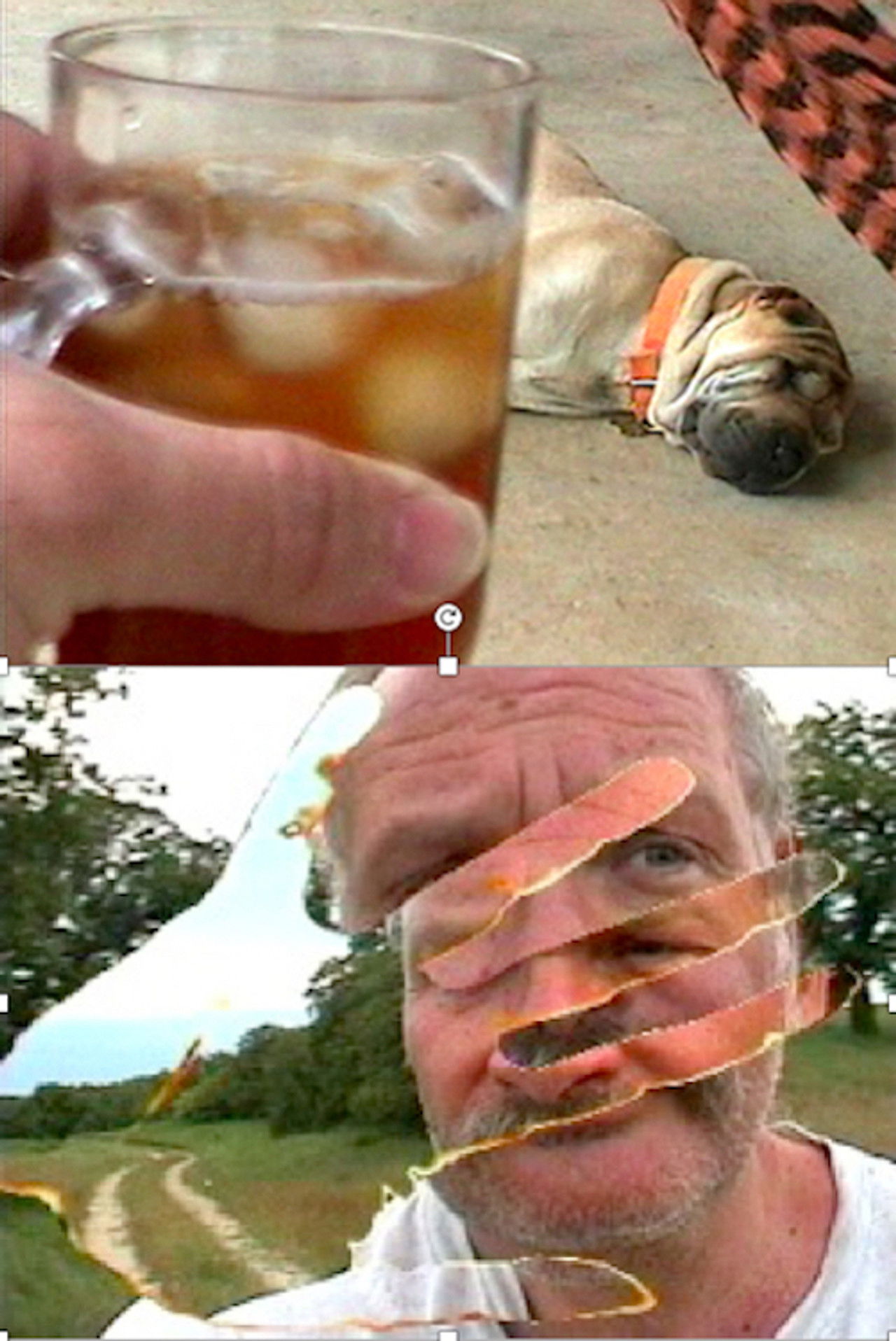 Chigger Country Backdrop