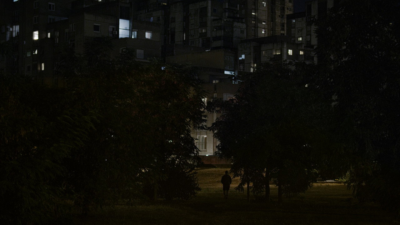 Desire Lines backdrop