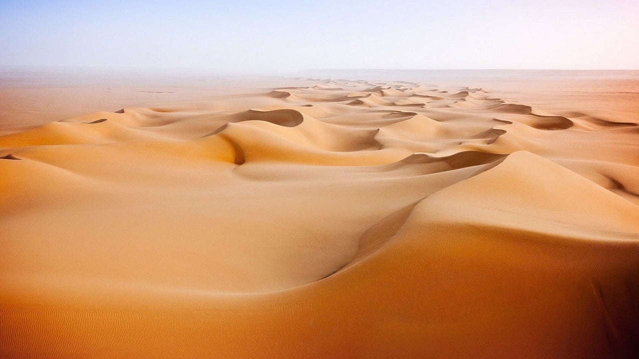 Wild Arabia background