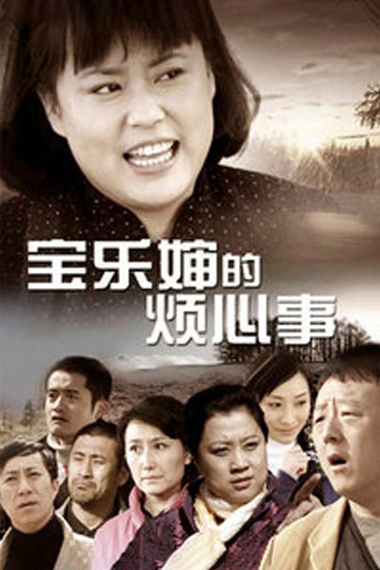 宝乐婶的烦心事 affisch