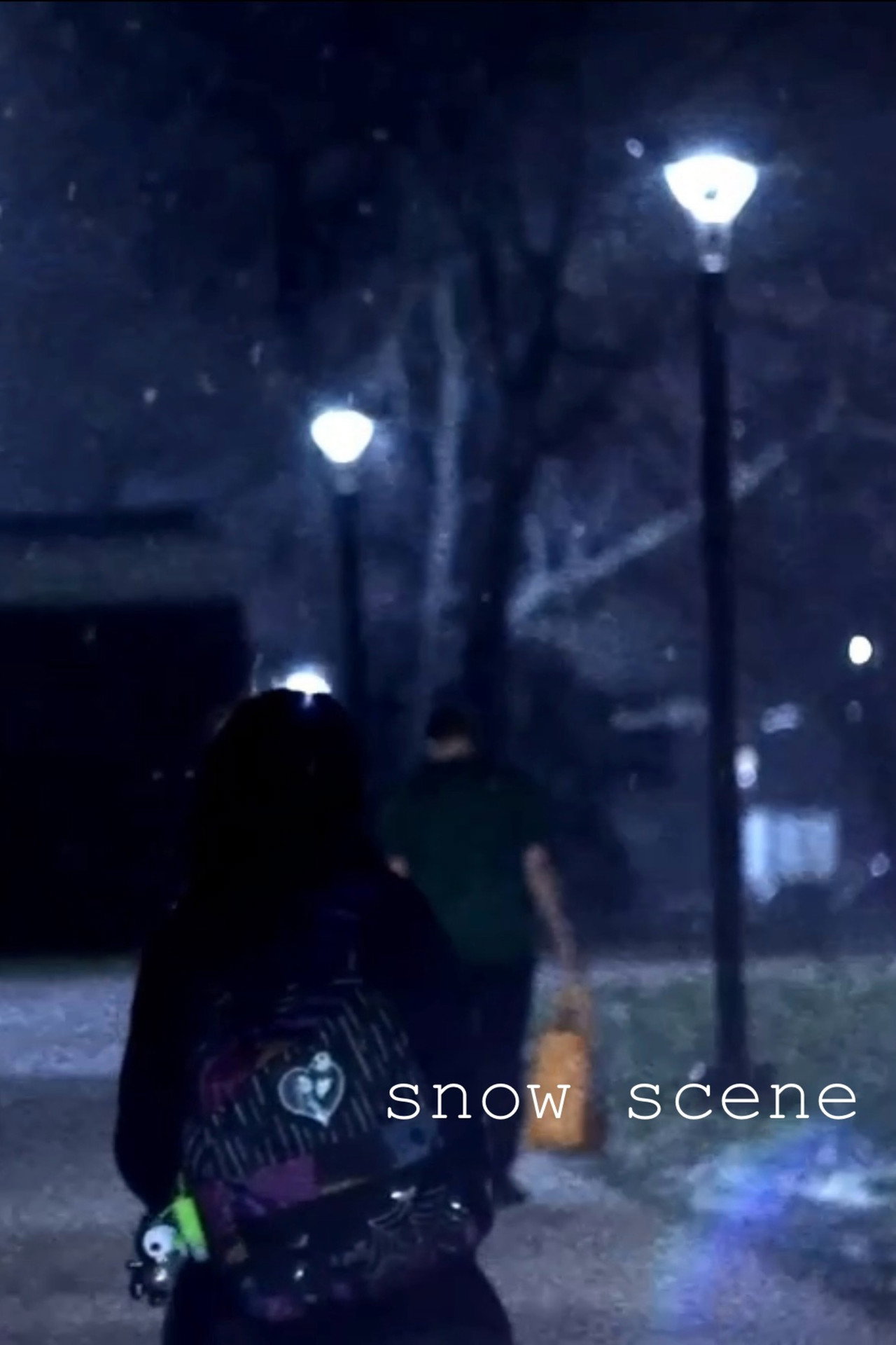 Snow Scene