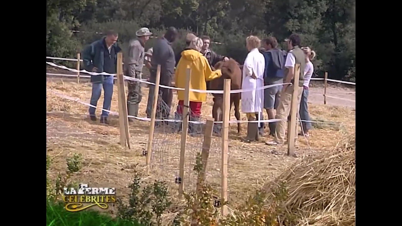 La Ferme Célébrités — Quotidienne n°22 - Jour 22
