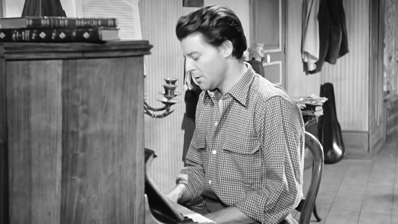 Beauties of the Night backdrop