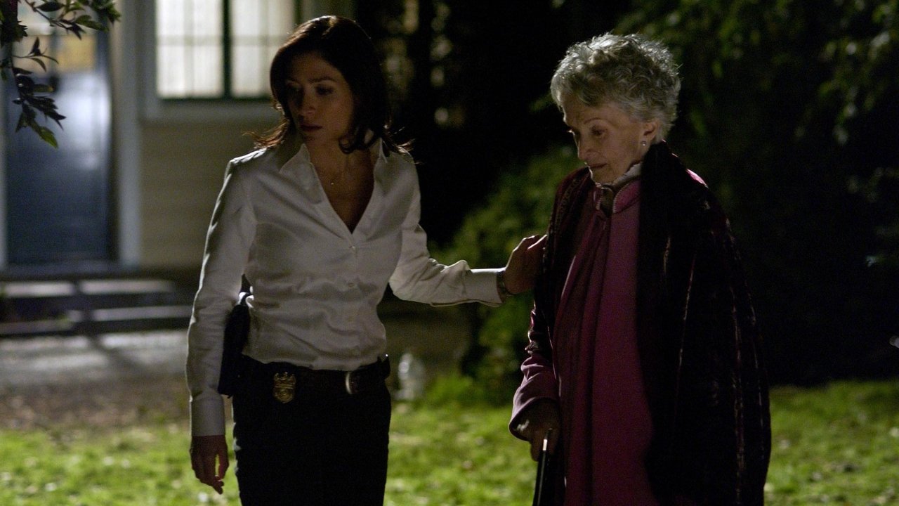 NCIS - Season 2 Episode 13 : The Meat Puzzle