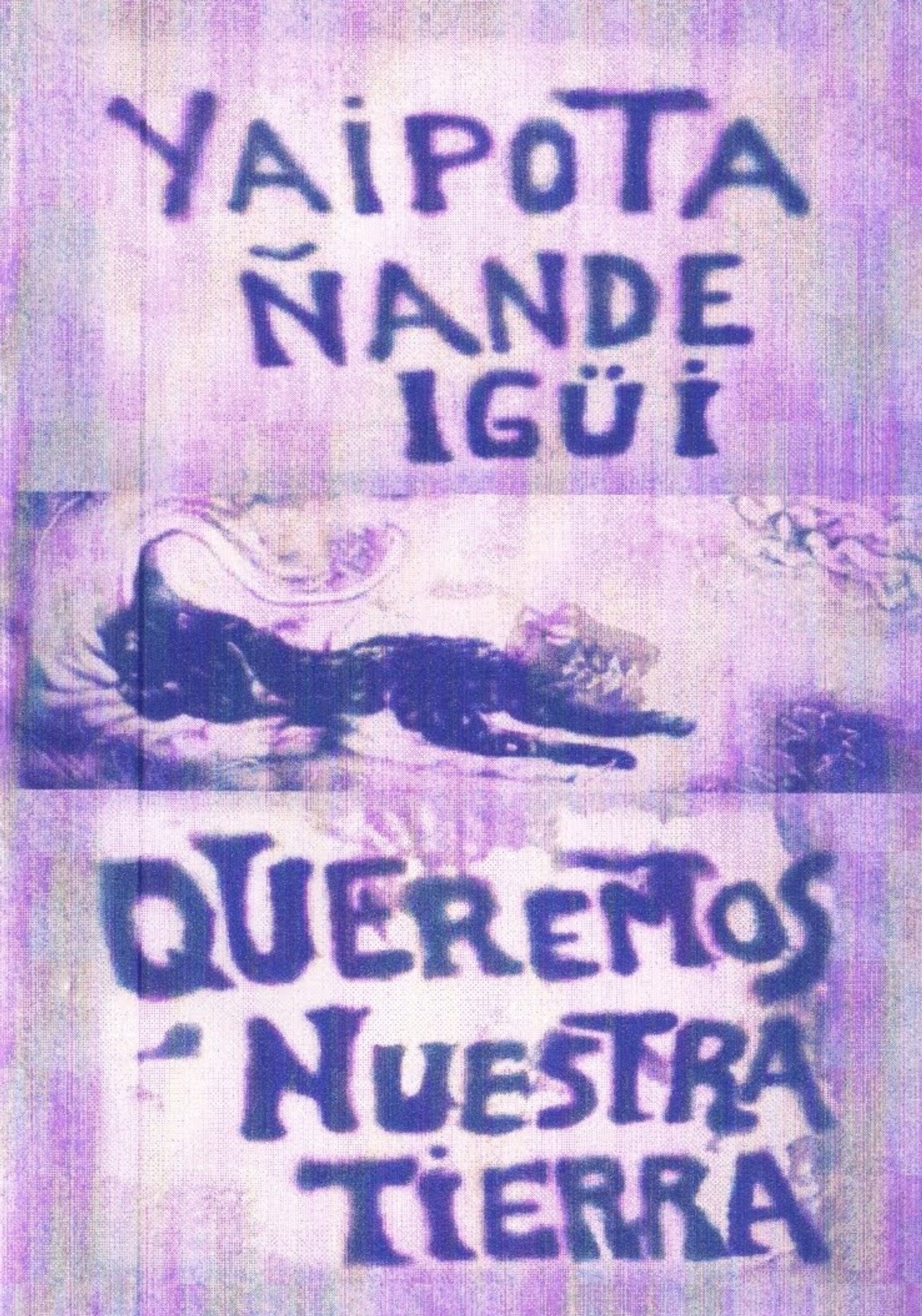 Yaipota ñande igüi - Queremos nuestra tierra