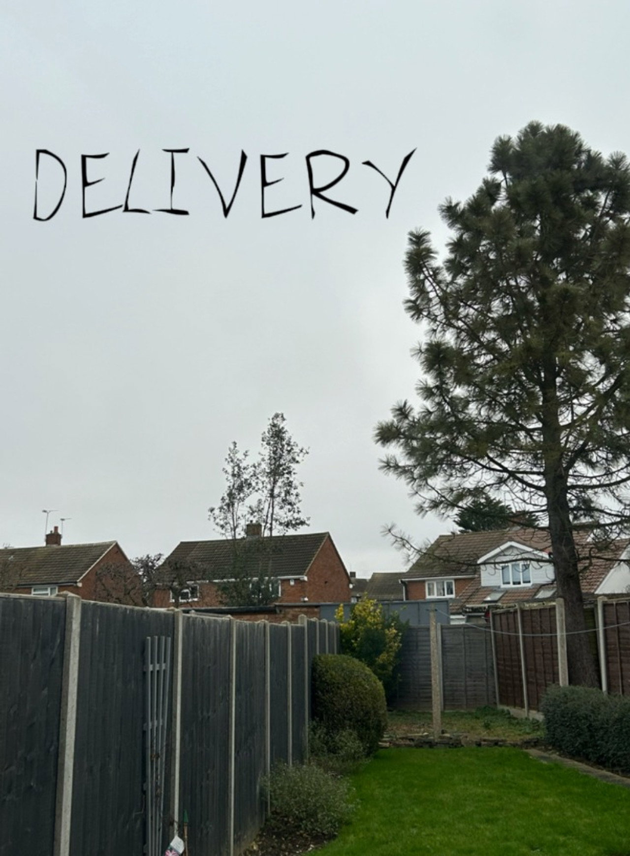 Delivery filmaffisch
