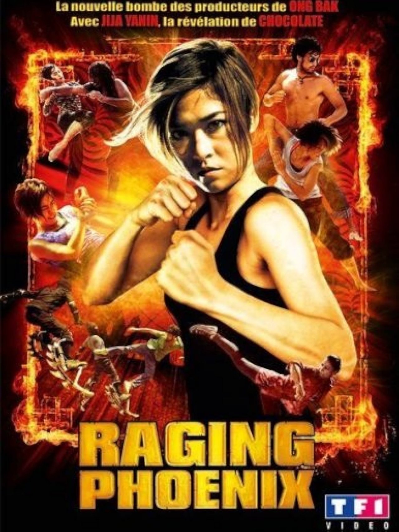 Raging Phoenix poster