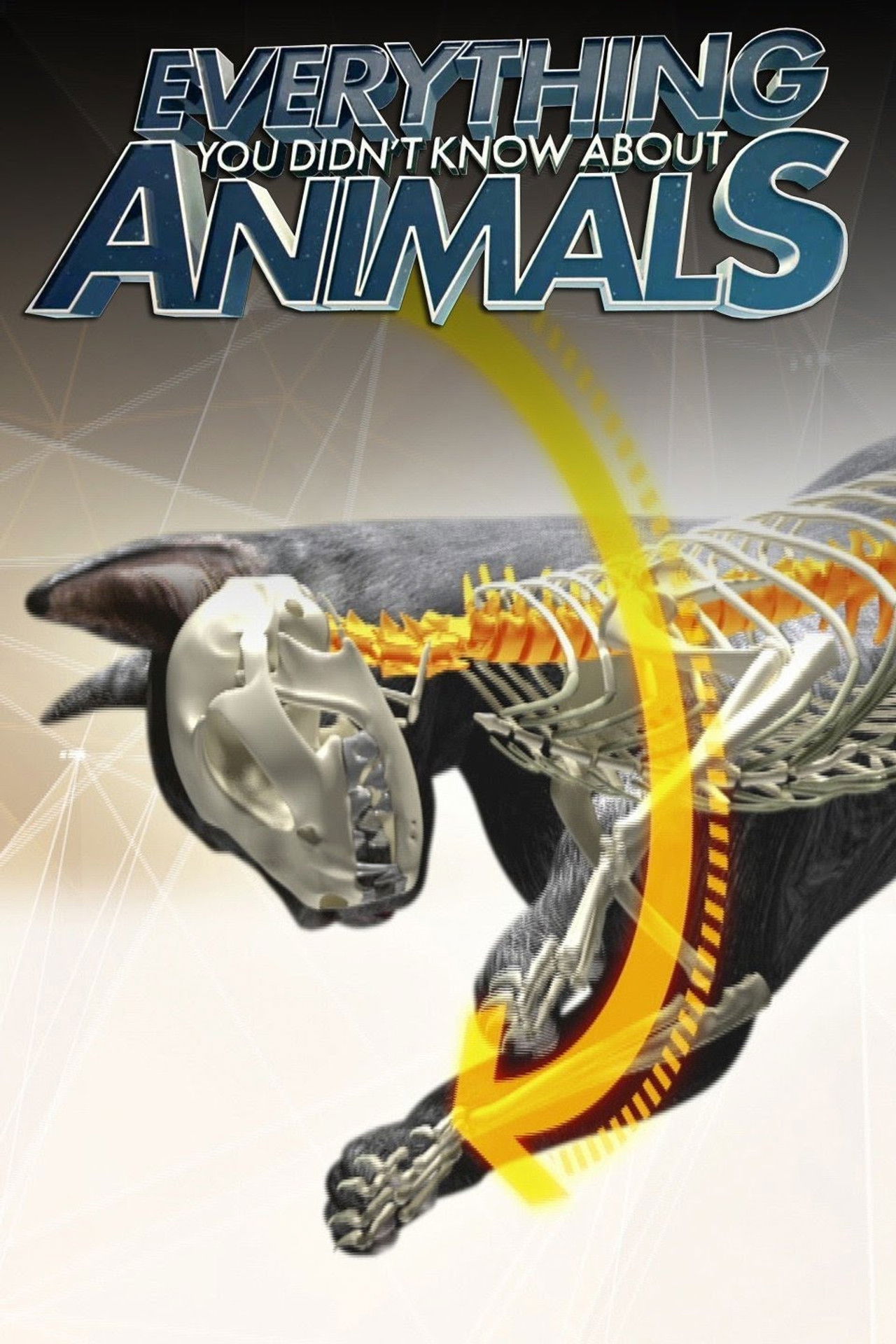 Çdo gjë që nuk e keni ditur për kafshët backdrop