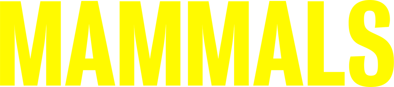 Млекопитающие