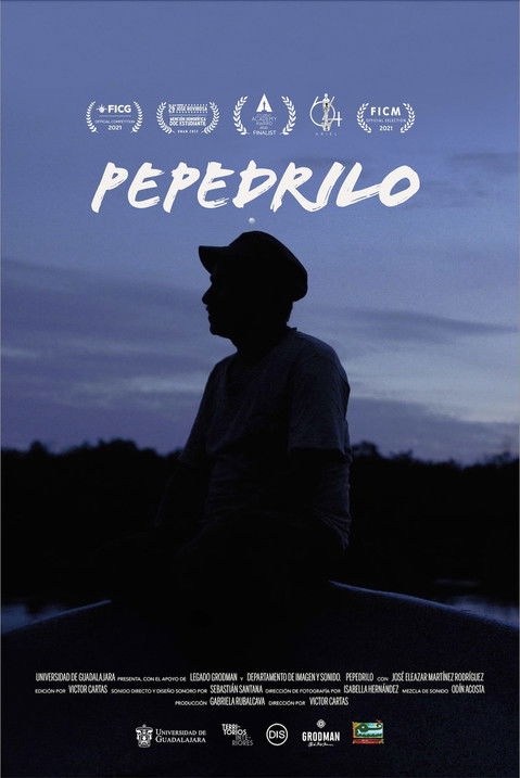 Pepedrilo poster
