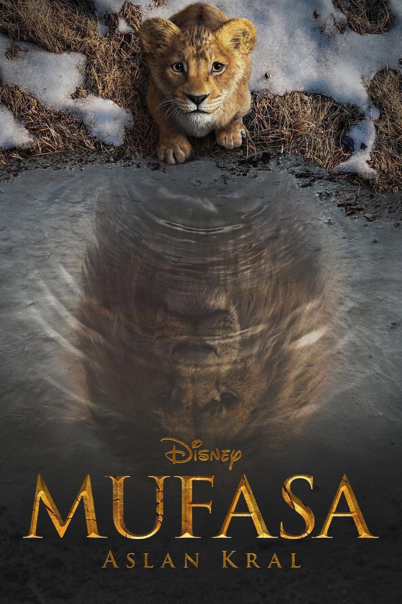 Mufasa: The Lion King
