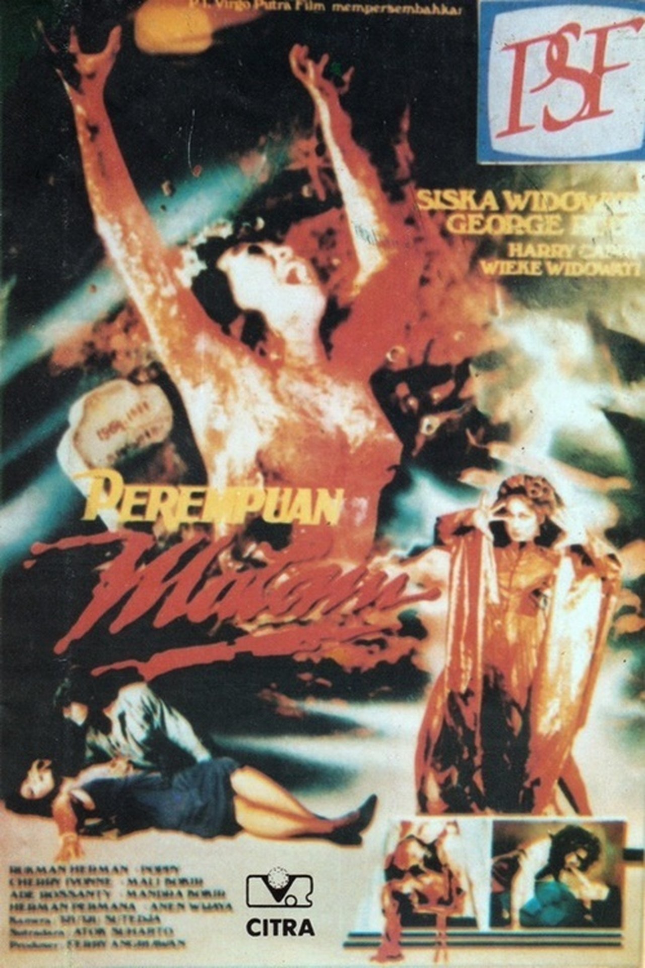 مشاهدة فيلم Night Woman مترجم بدون اعلانات - بوستر