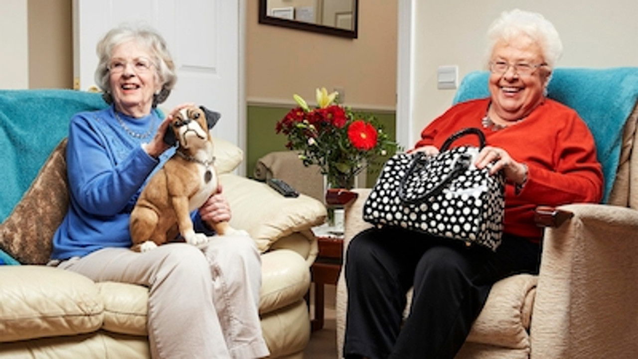 Gogglebox — Épisode 16