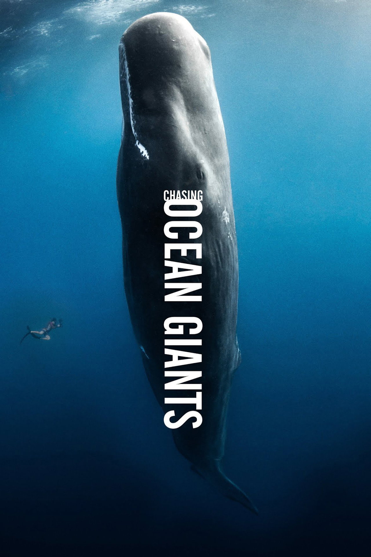 Chasing Ocean Giants affisch