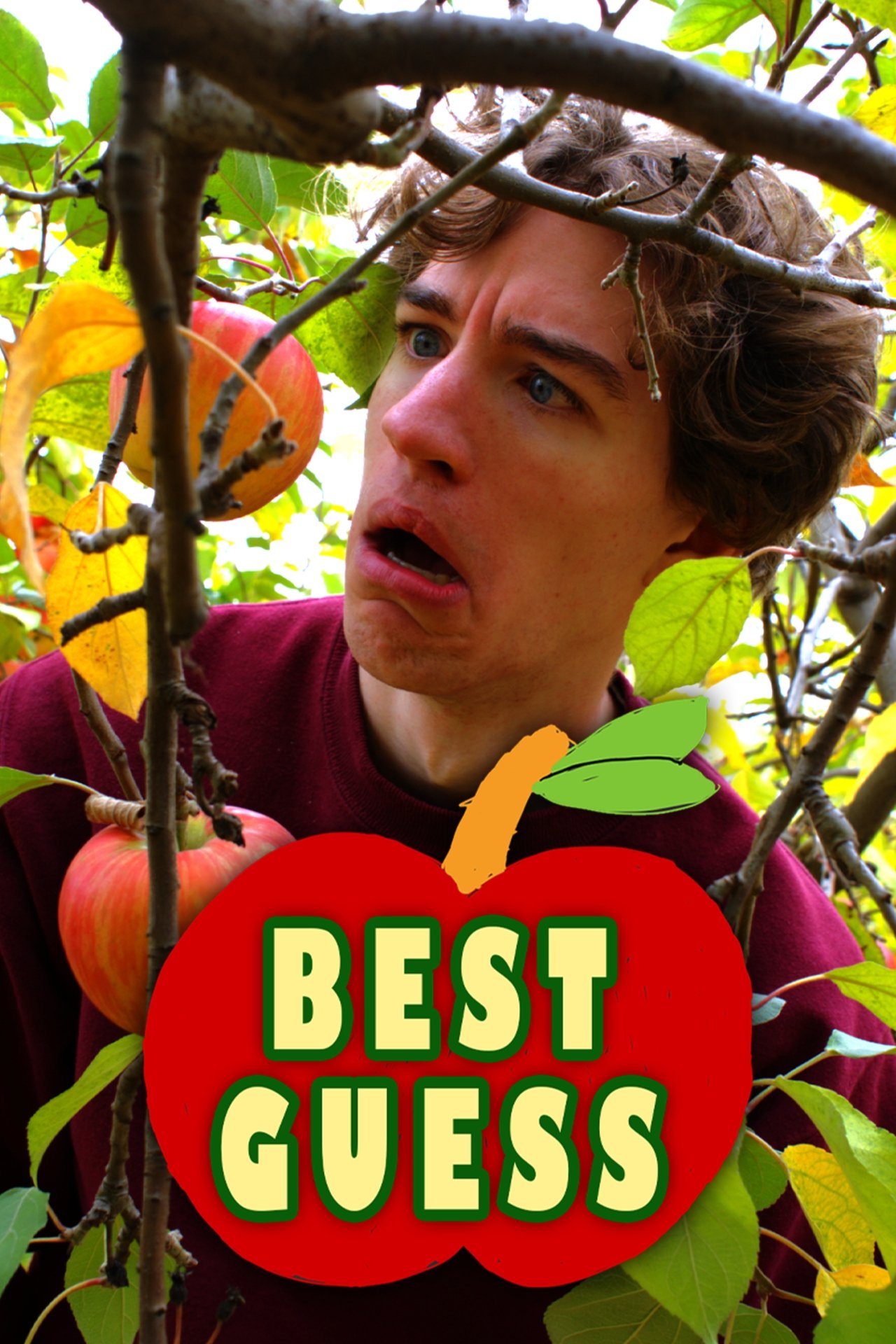 Best Guess poster