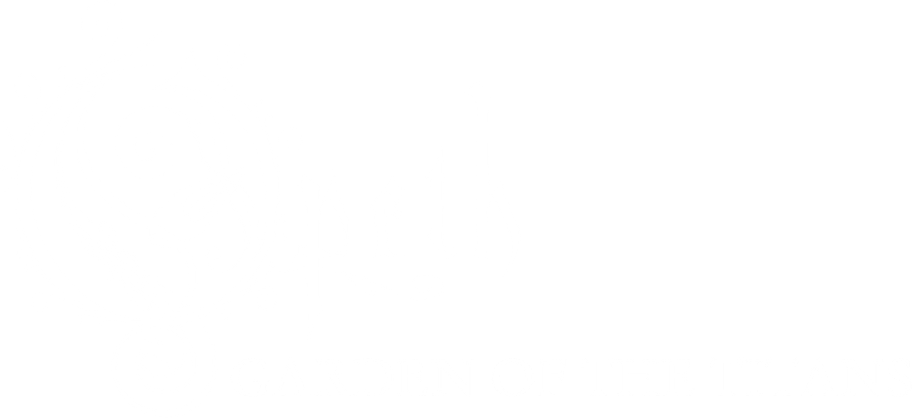 Opeth: Garden Of The Titans — Opeth Live At Red Rocks Amphitheatre