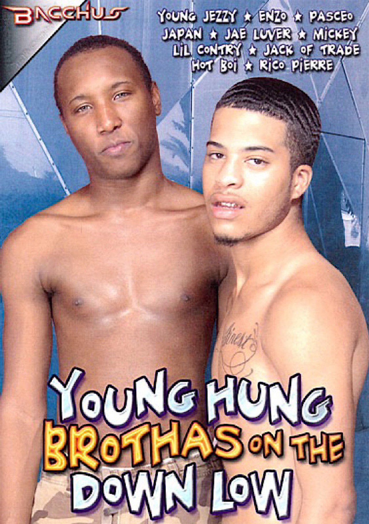Young Hung Brothas on the Down Low filmaffisch