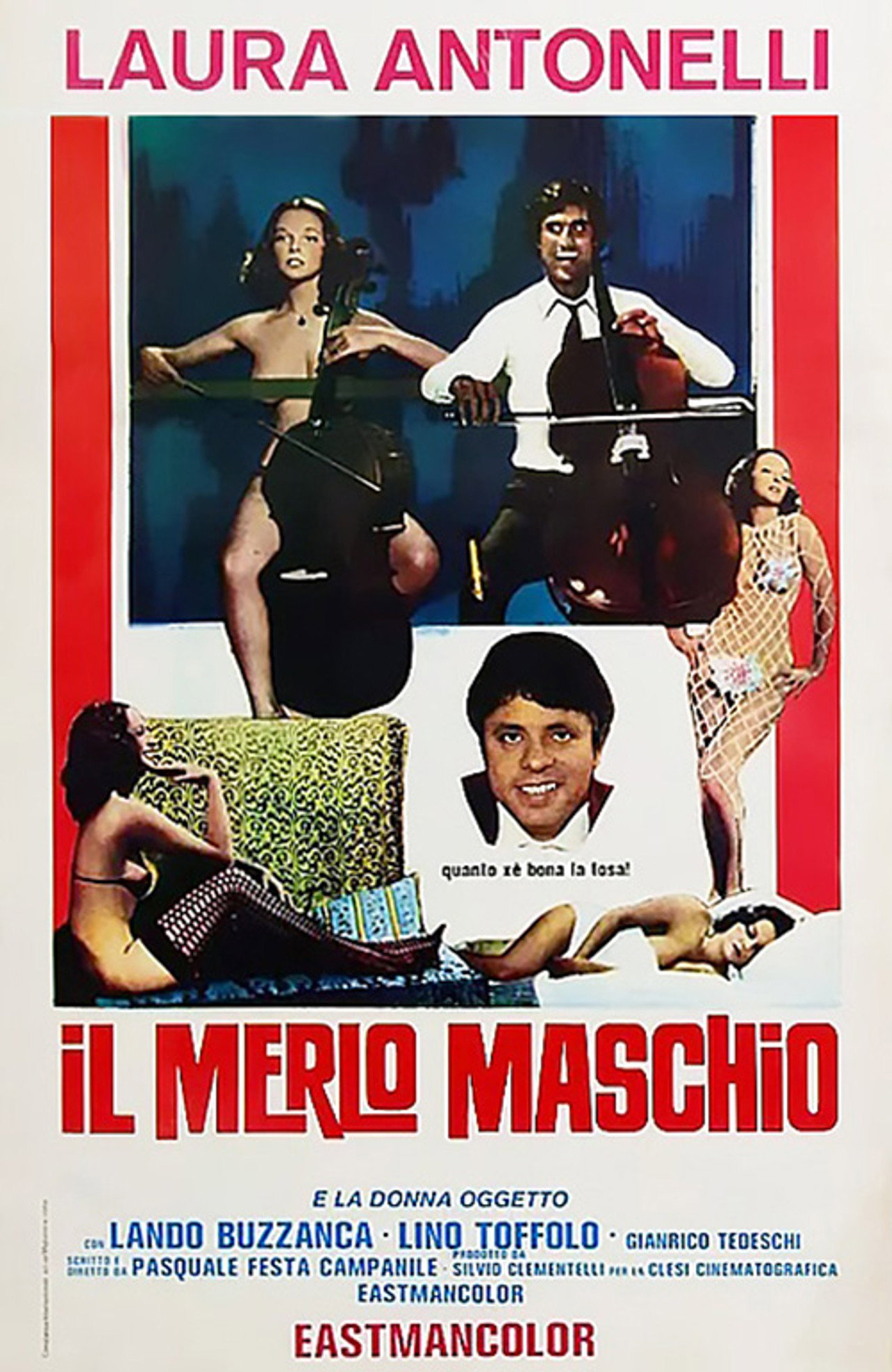 Il merlo maschio filmaffisch