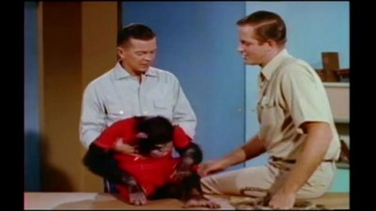 Mutual of Omaha's Wild Kingdom — Épisode 6