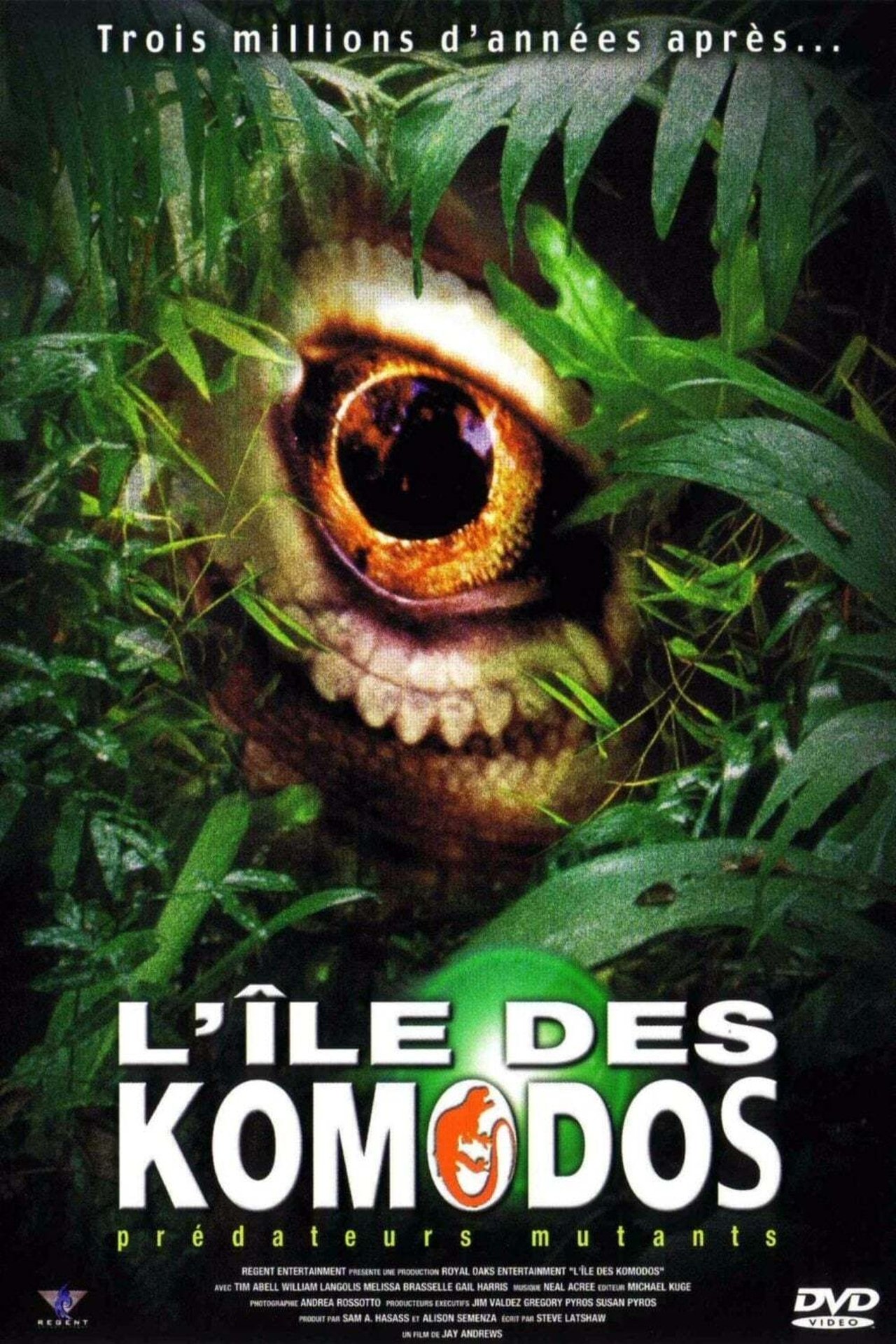 L'ile des komodos poster