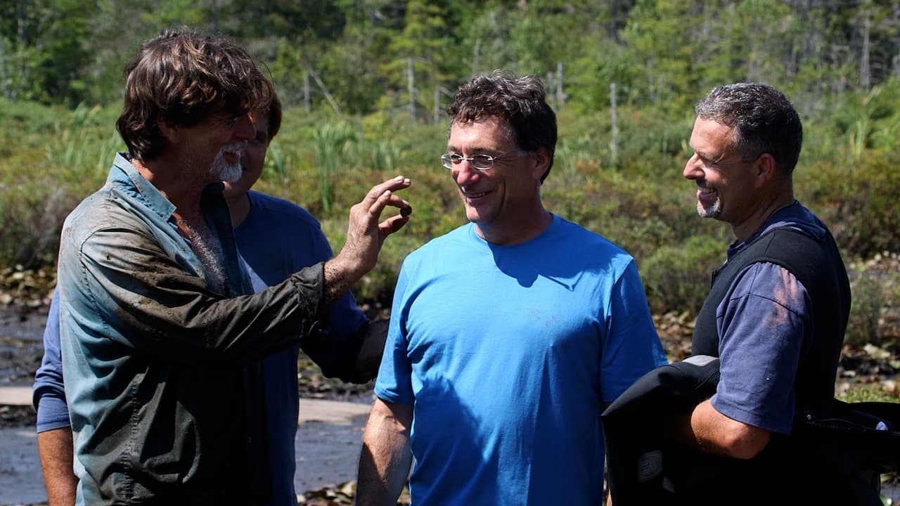 The Curse of Oak Island - Season 0 Episode 36 : The Fellowship's Top Ten Swamp Revelations