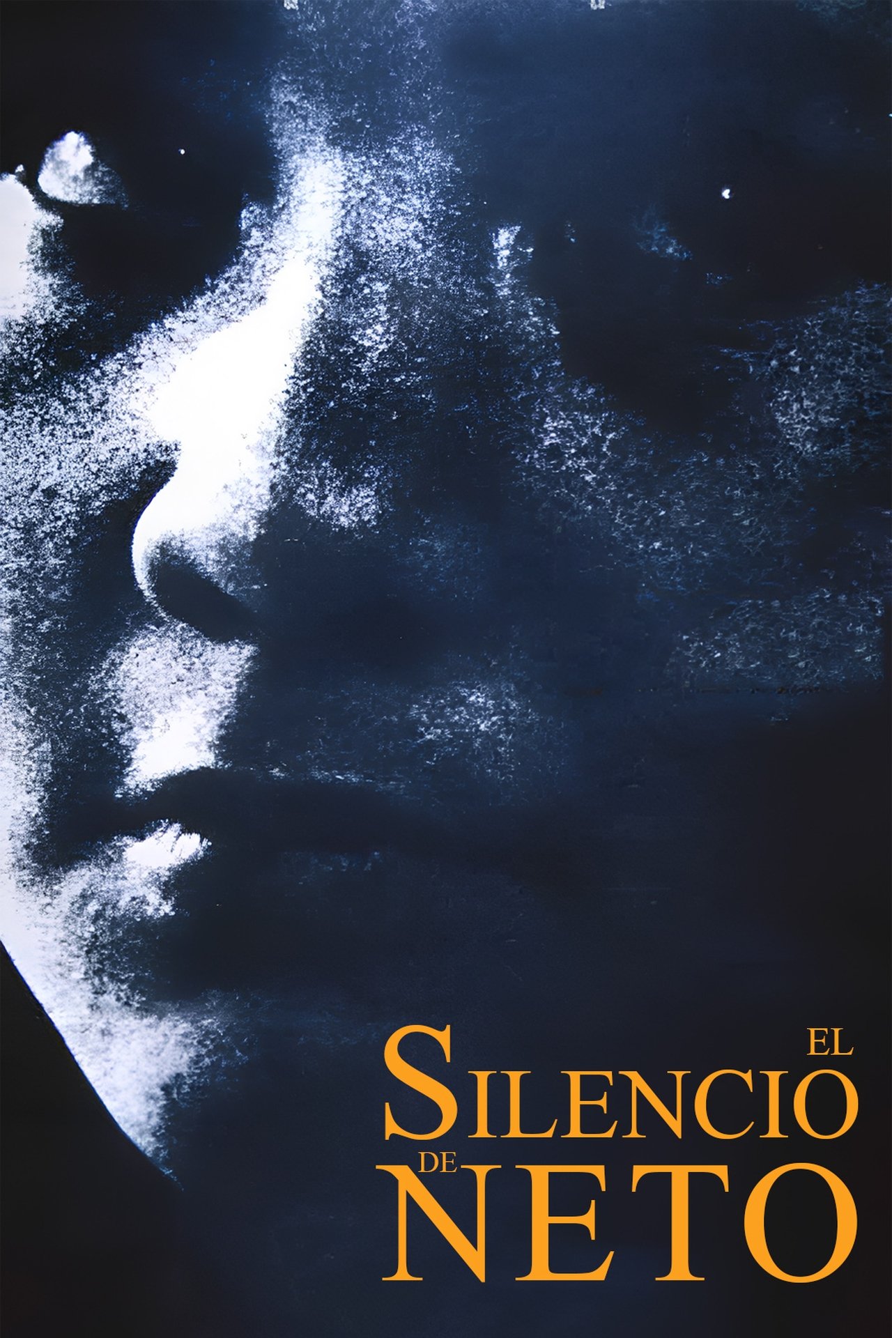 El silencio de Neto El silencio de Neto