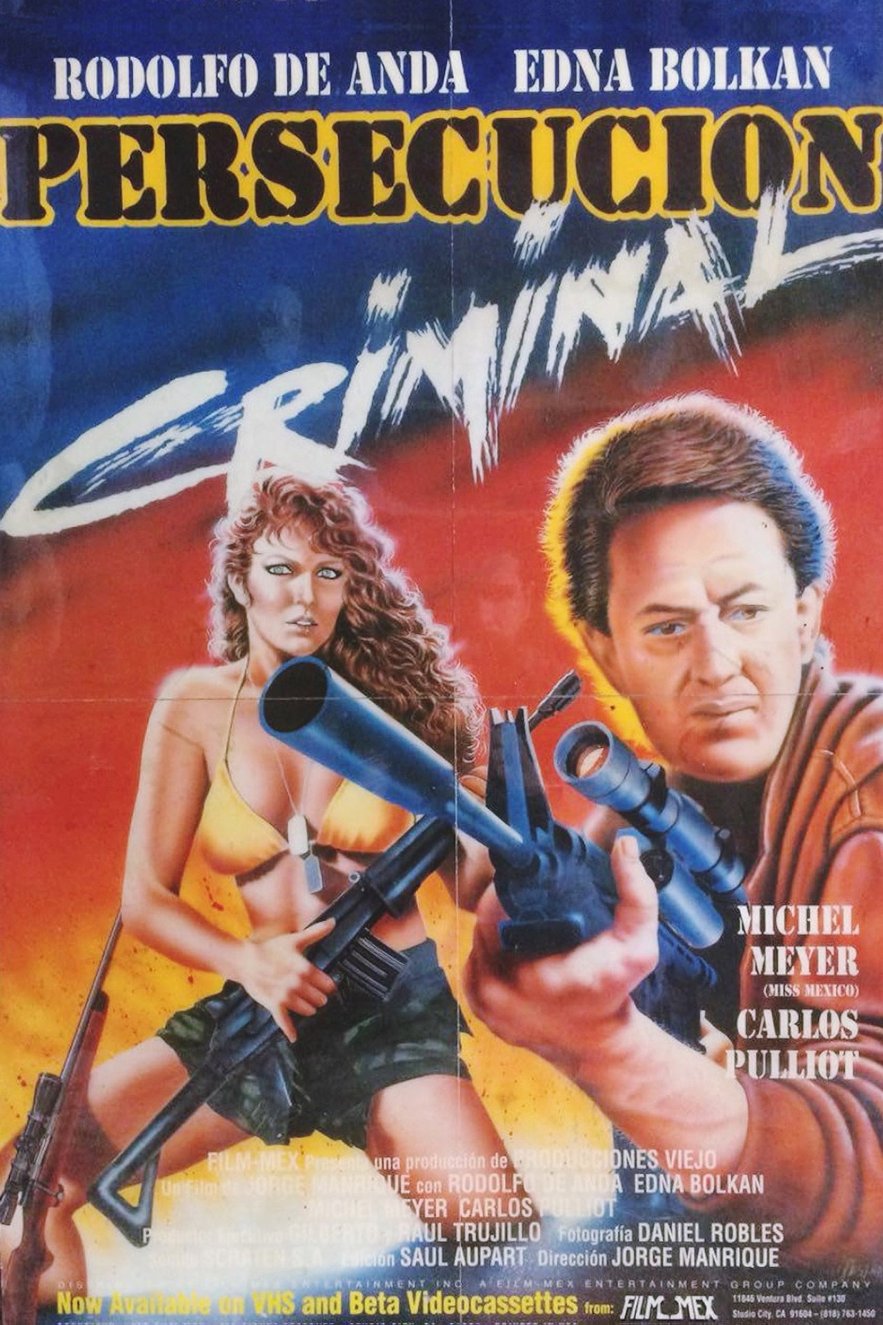 Persecución criminal
