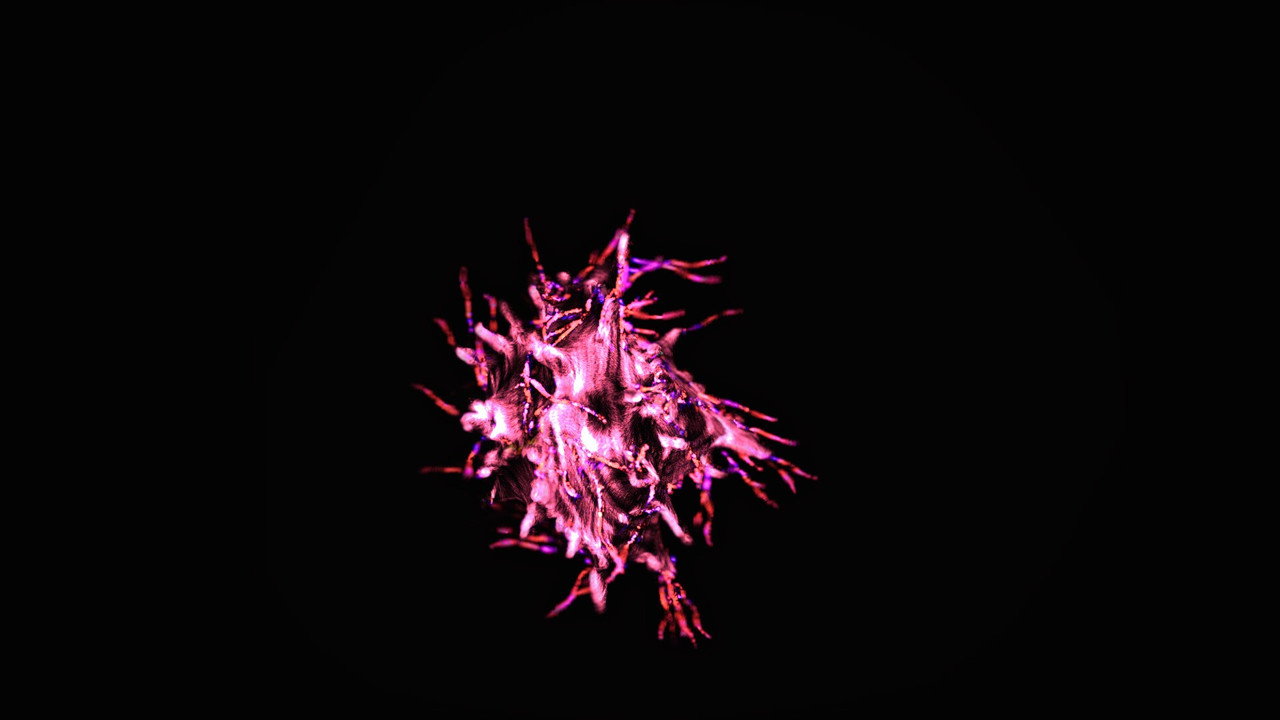 Symbionts