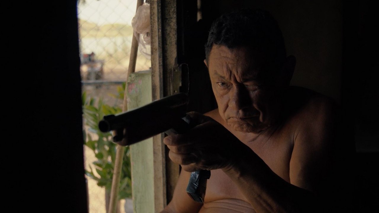 Audio and the Alligator