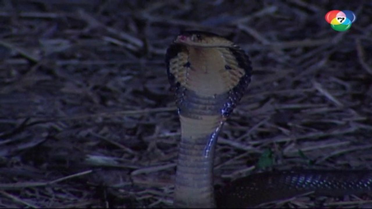 คู่แค้นแสนรัก — Épisode 8