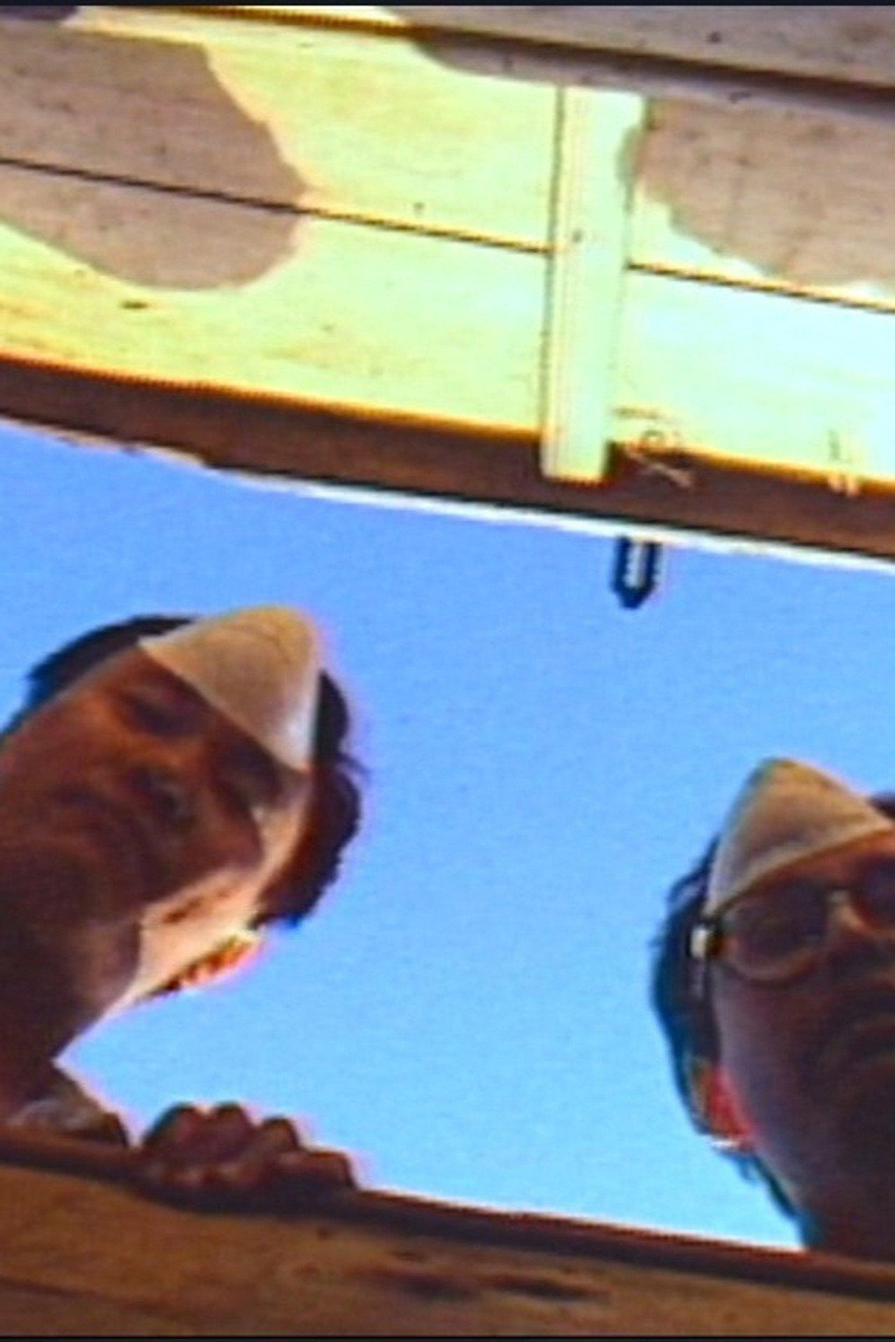 Upon This Bank and Shoal of Time filmaffisch