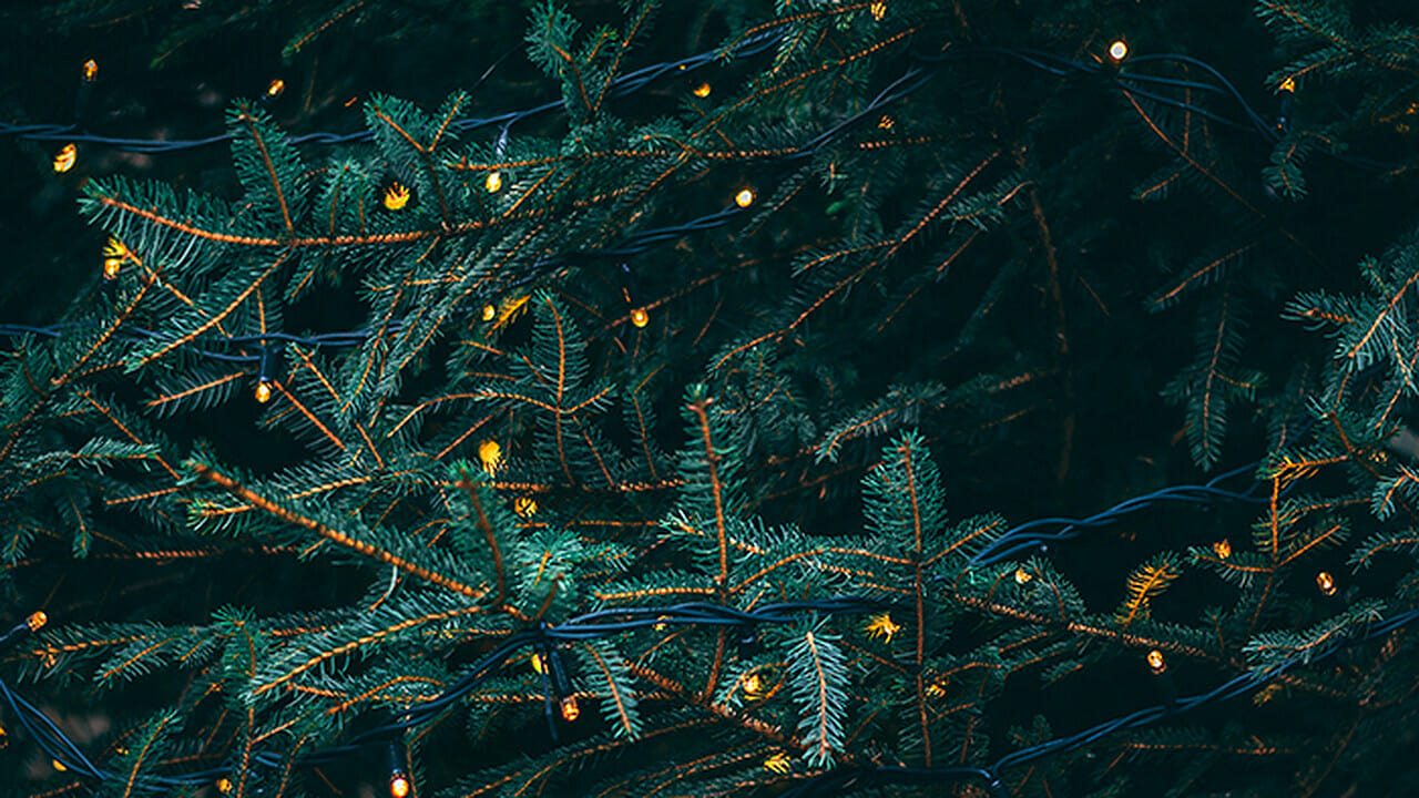 Scen från Christmas Lights