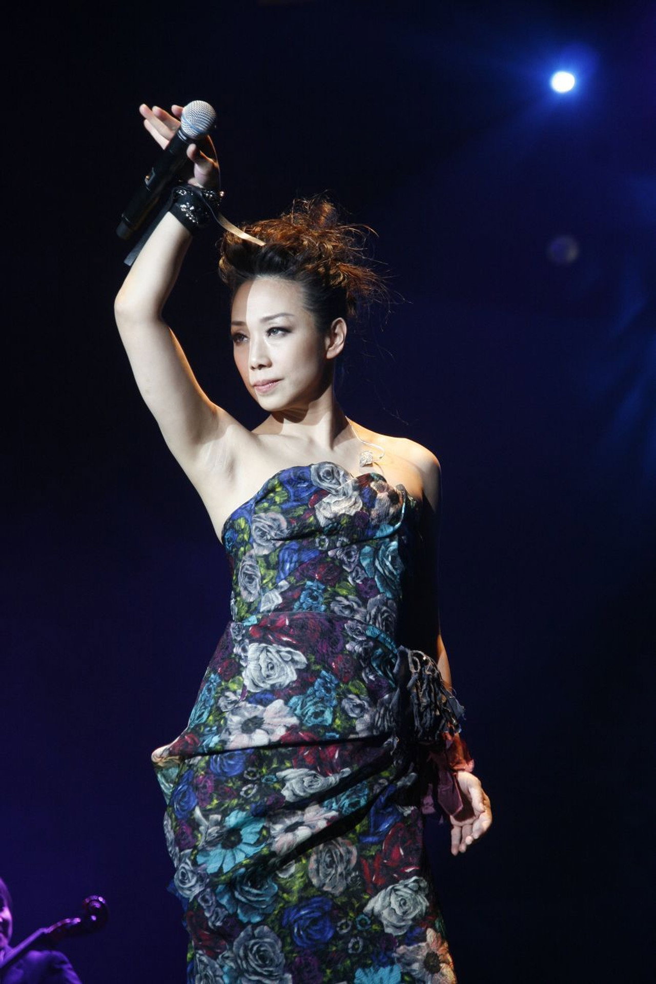 2012 林忆莲香港演唱会 filmaffisch
