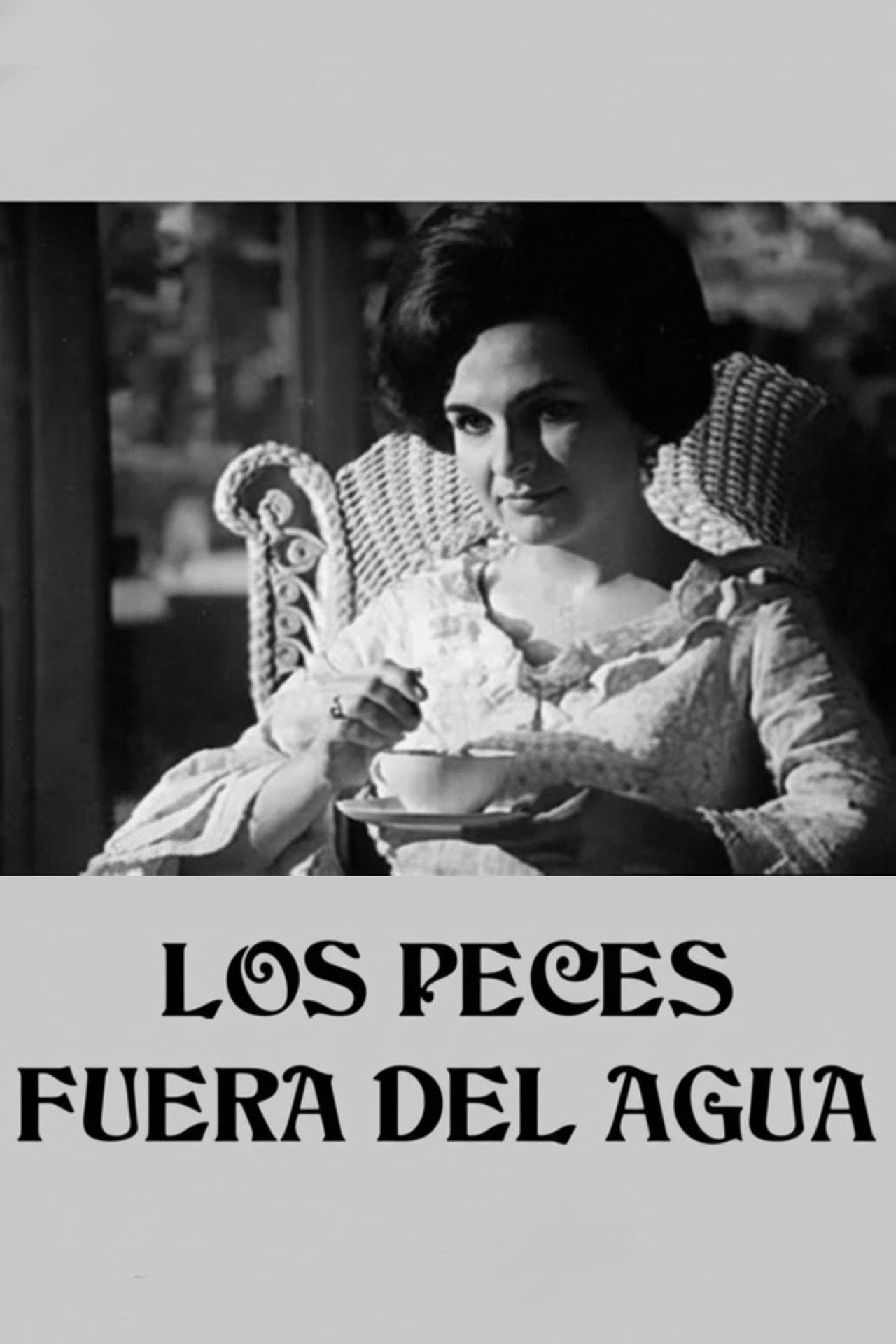 A Fish Out of Water Backdrop