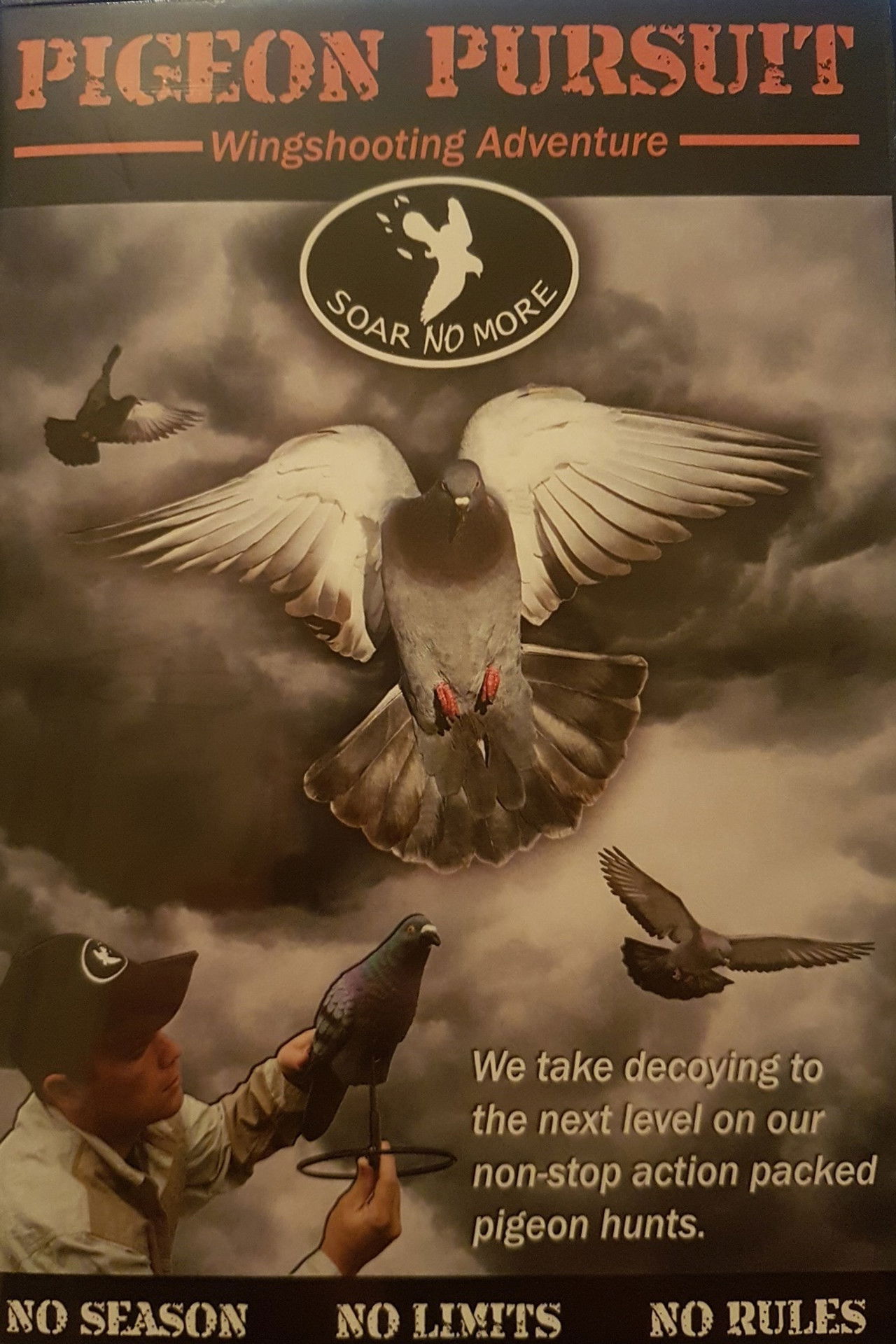 Pigeon Pursuit Backdrop